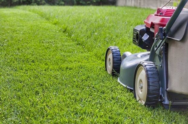 Landscaping 101 & Homeowner Care | Blog | Coventry Homes